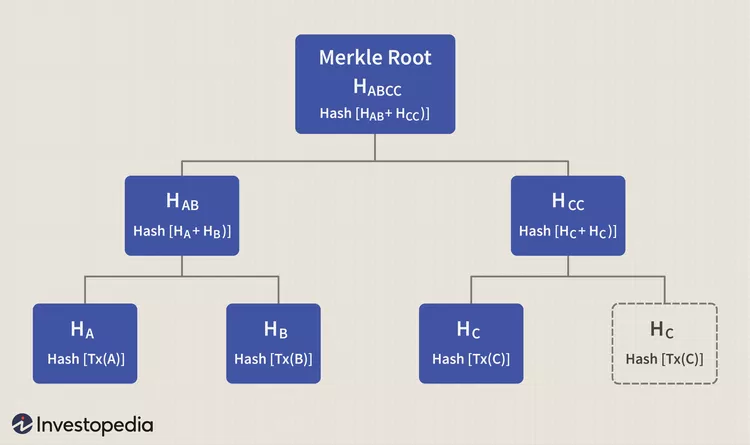 Merkle Root